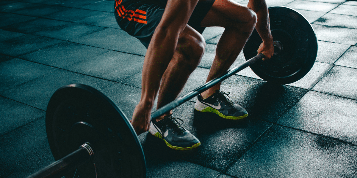 Optimize Fitness Tailored Workouts & Nutrition