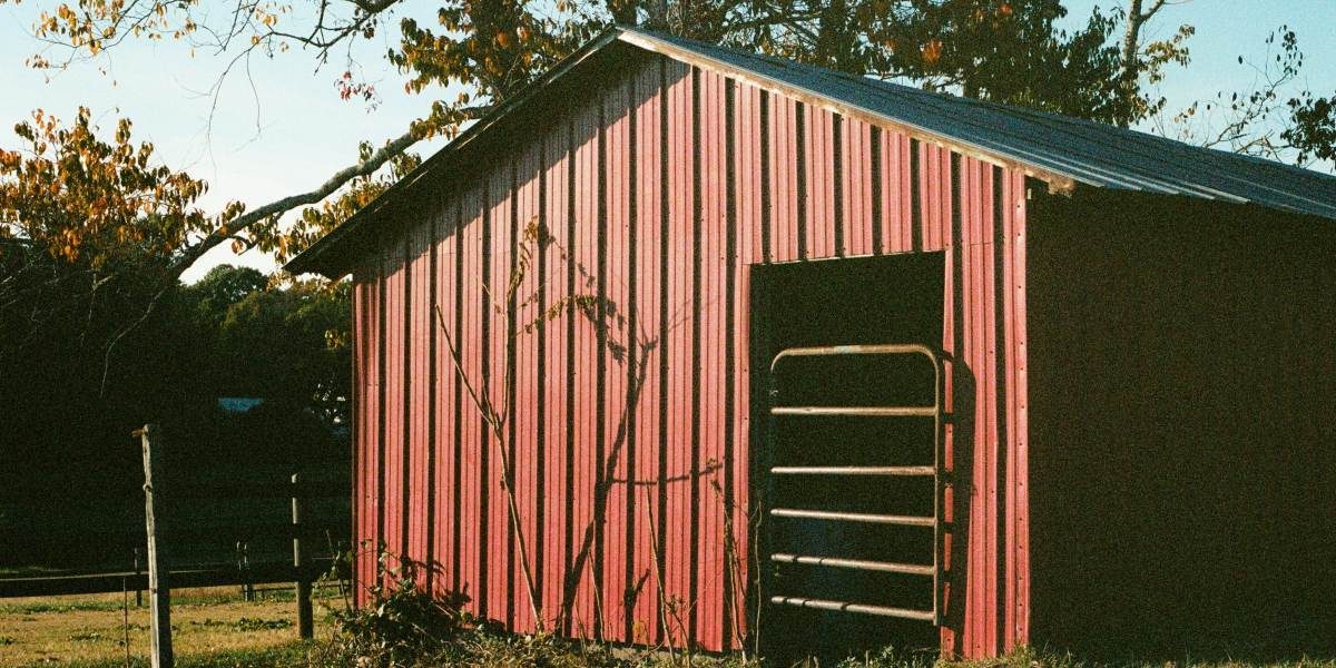 Patiowell’s Outdoor Shed Buying Guide: Tips for Choosing the Right One