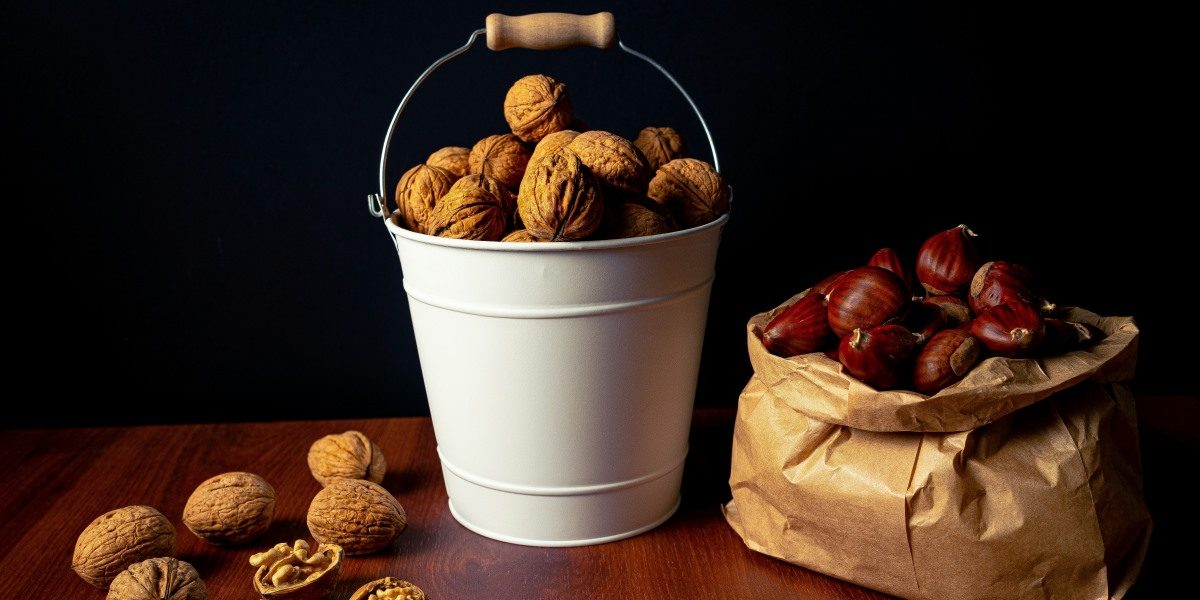 Raw Walnuts at Briden Wilson Farm Discover Fresh, Organic-Quality Straight from the Source