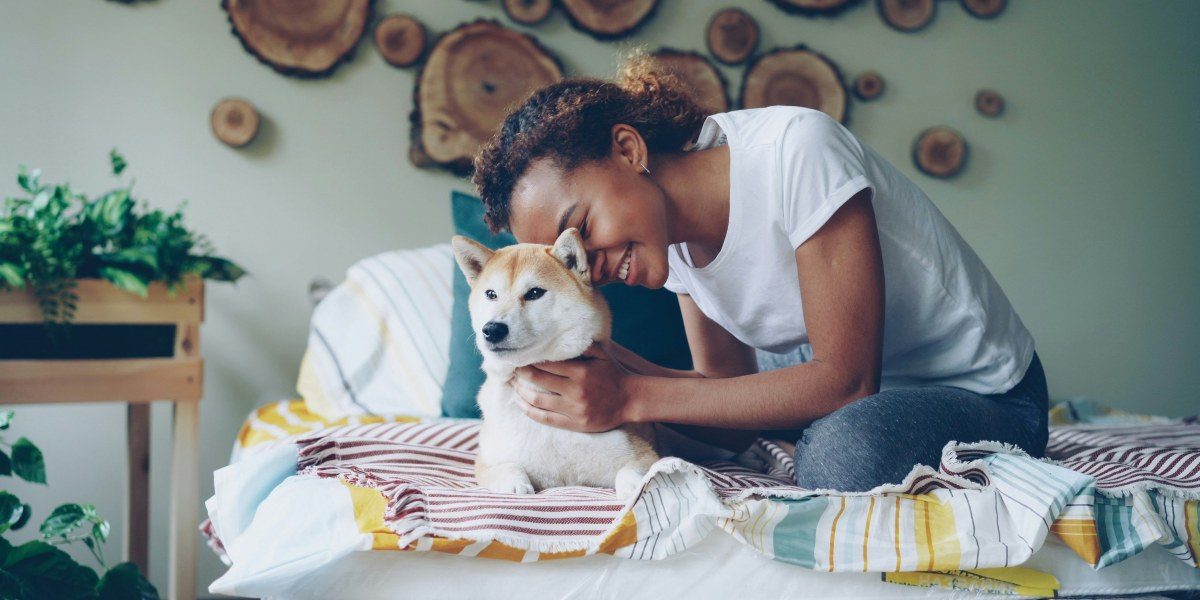 Should You Allow Pets in Your Rental Property? Pros and Cons for Landlords