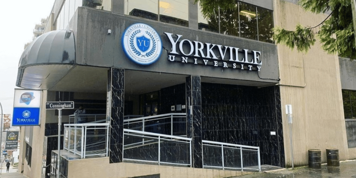 Study at Yorkville University Excellence in Education