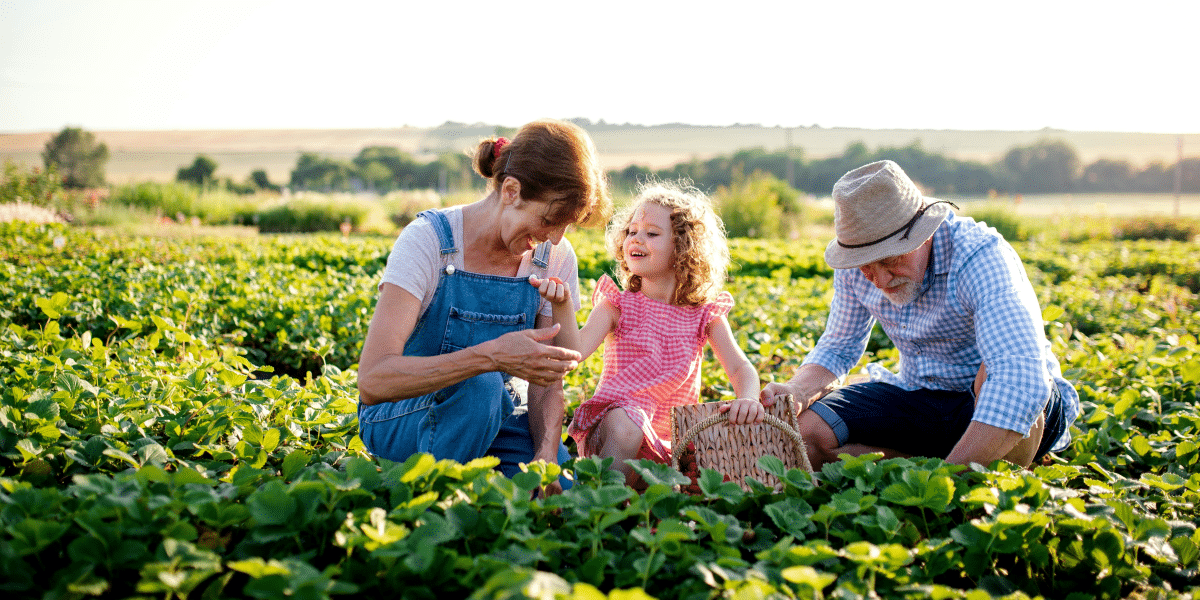 Teaching Children About Farm Life Through Play