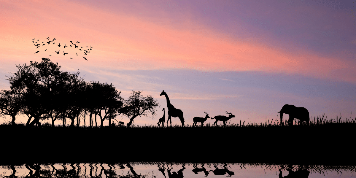 The Bucket List Destinations Trending for Wildlife Enthusiasts