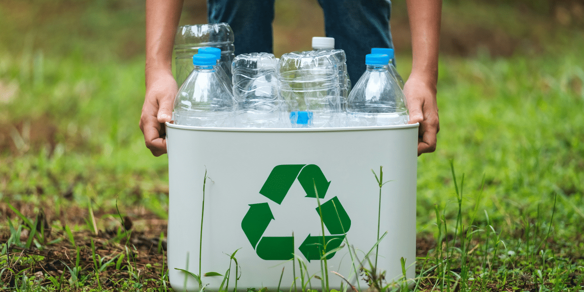 The Green Takeaway Revolution Eco-friendly Containers