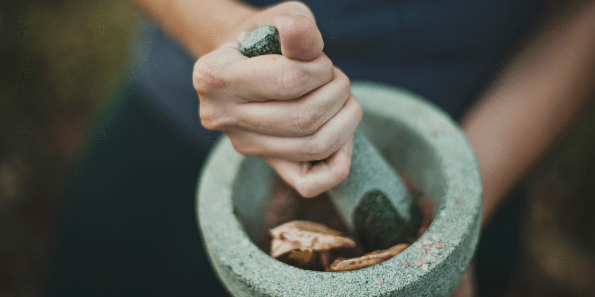 The Power of Sea Moss: Holistic Vybez's Journey to Wellness