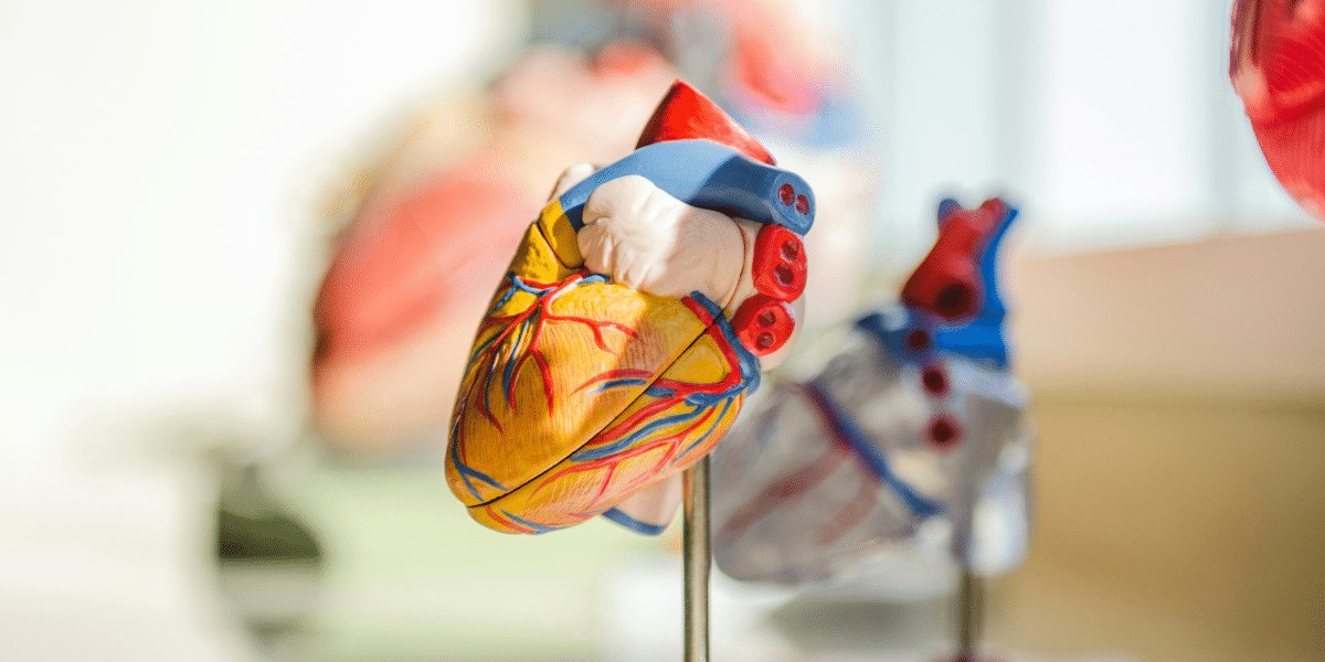 The Ripple Effect- How Cholesterol Impacts Your Body's Systems