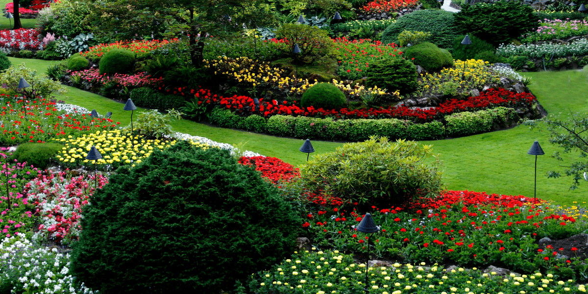 The Significance of Sustainable Landscaping in Houston
