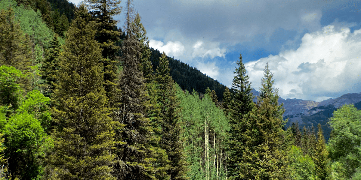 Tips for a Memorable and Budget-Conscious Telluride Trip