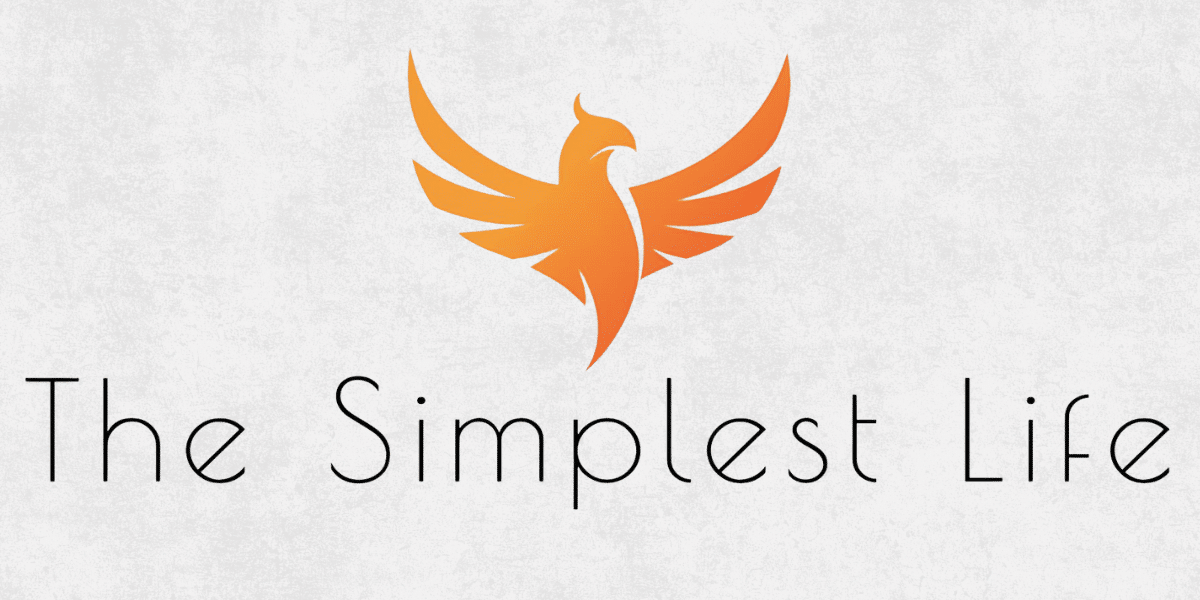 Transforming Lives with Perspective- The Simplest Life LLC's PATT Coaching Method