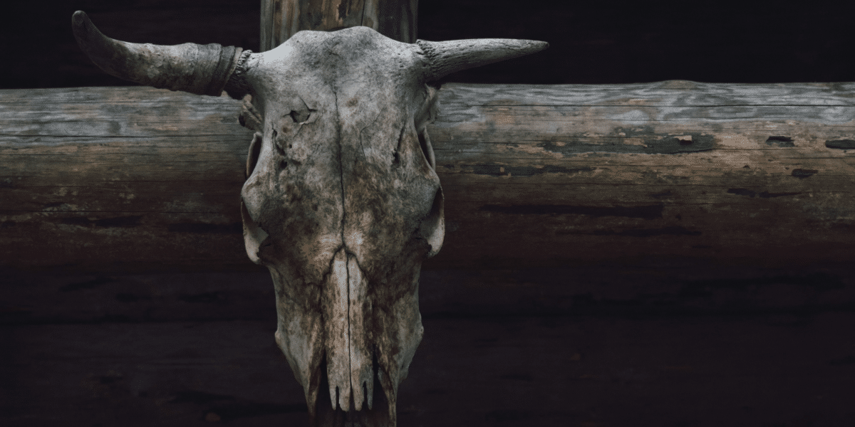 Vento & Ziggy Capture Western Spirit in 'Spaghetti Western'