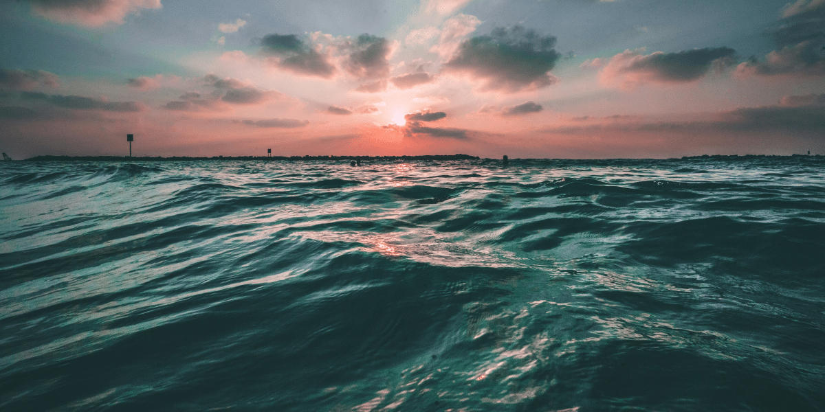 What Are You Looking For in a Support Yacht?