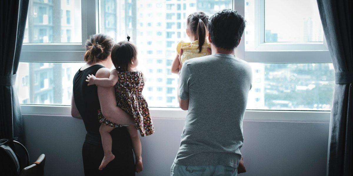 When Expertise Matters Understanding Family, Immigration, and Property Processes