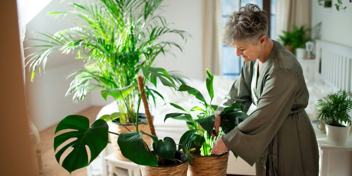 Why Digital Detoxing Is Crucial for Mental Clarity and Focus