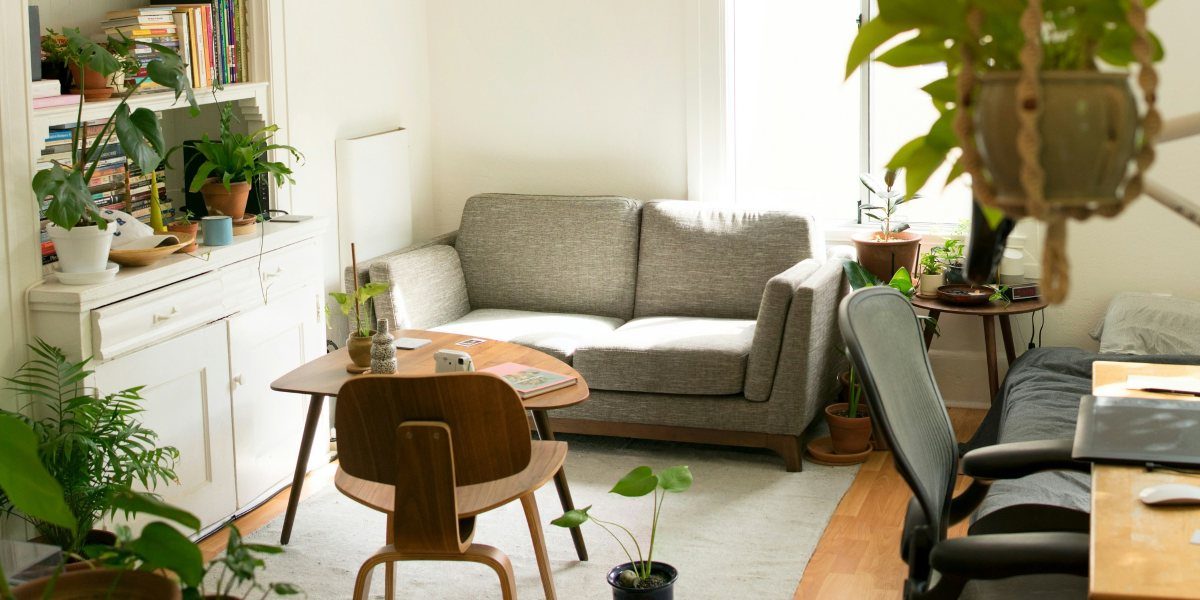 Why Indoor Air Matters When You Share Your Space with Pets