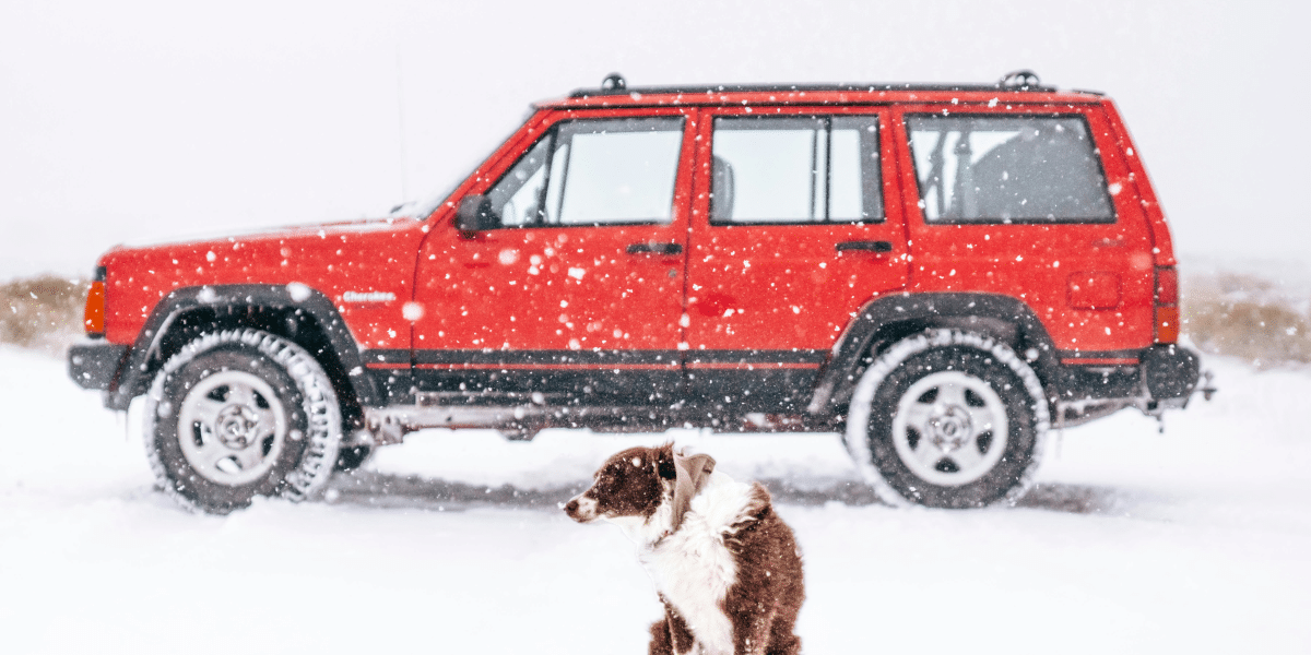 Why Jeeps Are Perfect for Family Road Trips