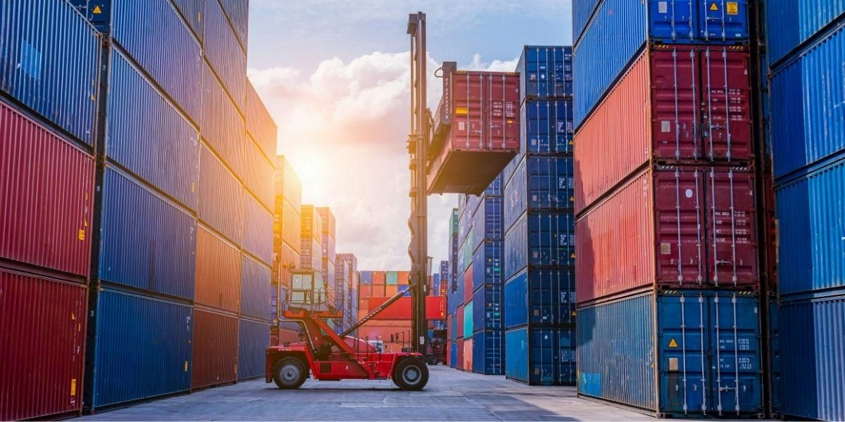 Boxman Opens a New Era of Growth Under 100% Kiwi Ownership