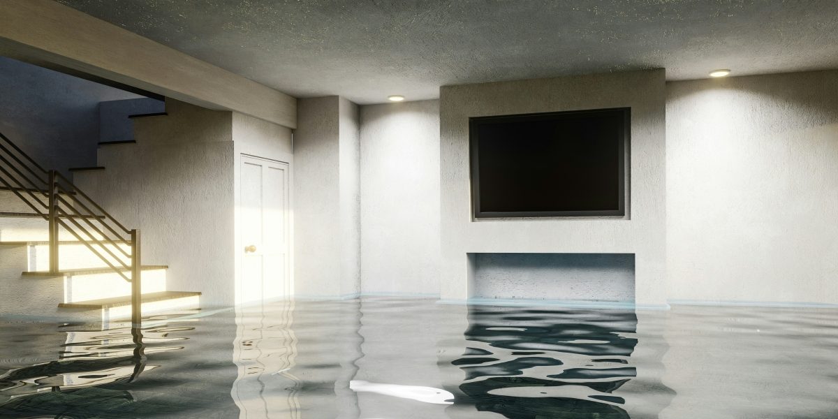 Comprehensive Guide to Basement Water Issues and Solutions