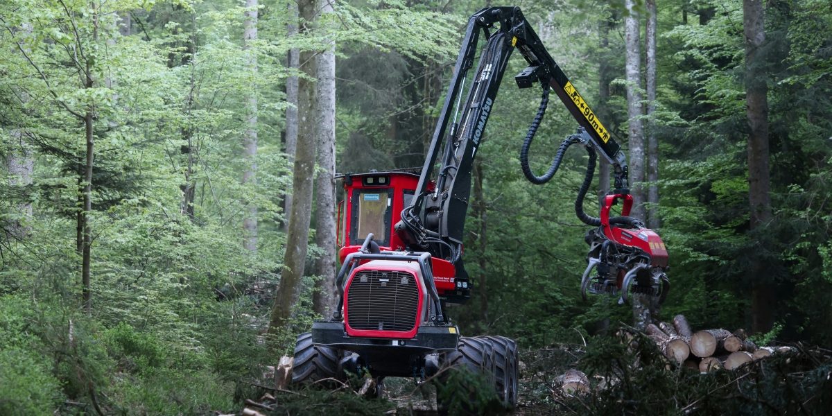 Essential Land Clearing Strategies for Sustainable Development