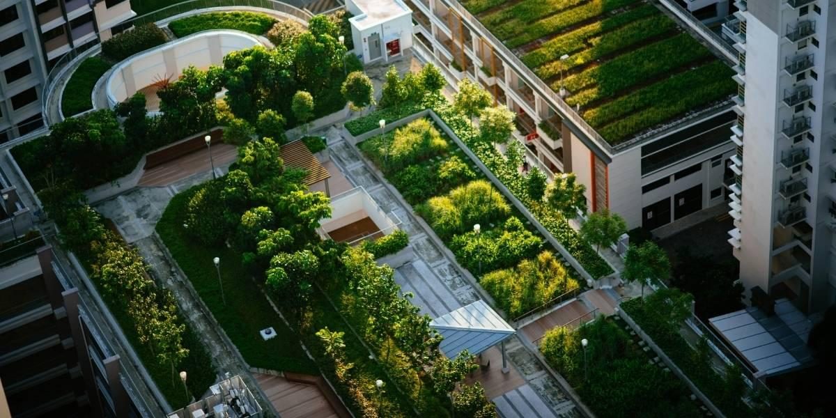 Green Roofs and Urban Gardens: Calculating Structural Loads for Eco-Friendly Havens