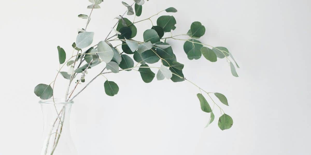 Create Your Own Oasis With These Home Wellness Upgrades