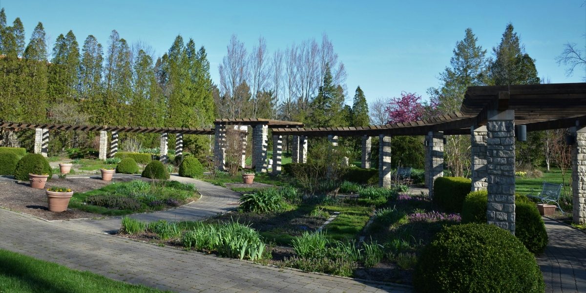 5 Design Trends Defining Modern Garden Annexes in 2026