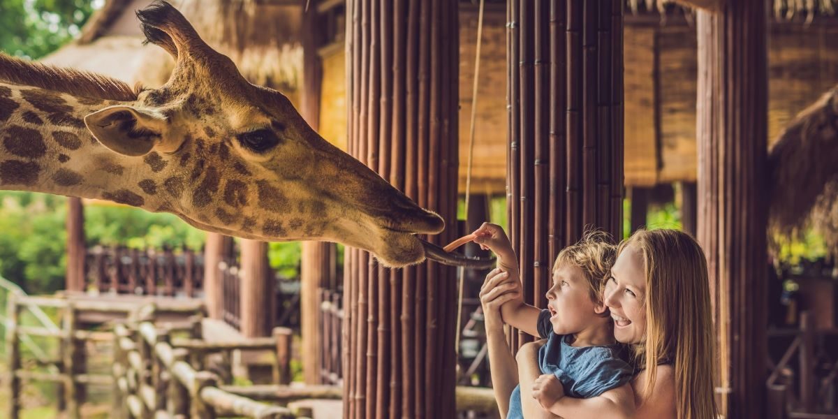 Best Zoos in the U.S. 2024: A Comprehensive Guide