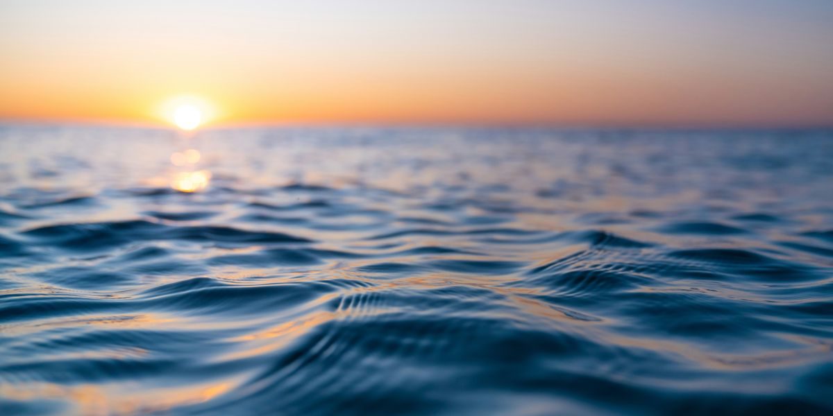 Exploring Calm Supplements by NeuroScience: What You Need to Know