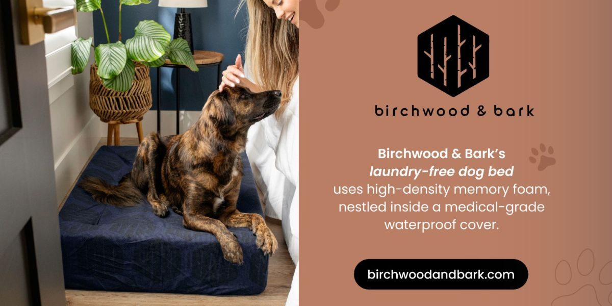Discover Birchwood & Bark: A Sustainable Solution for Cleaner Dog Beds