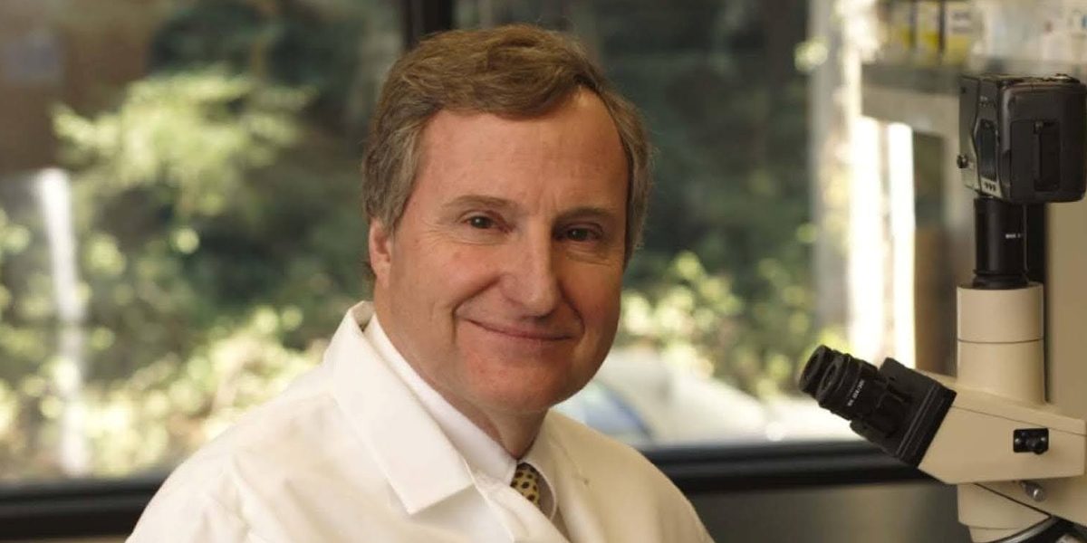 Steven Quay: The Relentless Pursuit of Medical Innovation