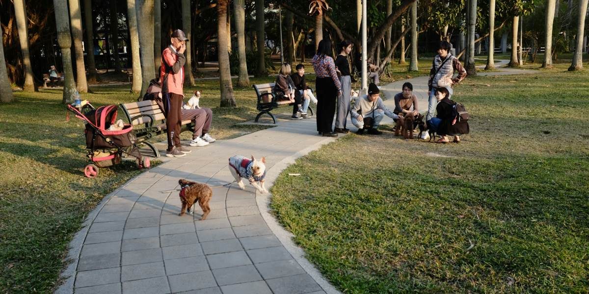 Great Dog Parks in Syracuse