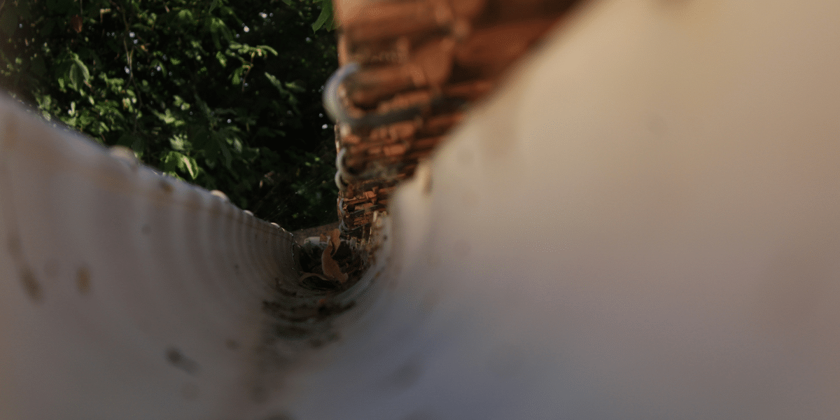 The Essential Guide to Gutter Cleaning: Why, When, and How