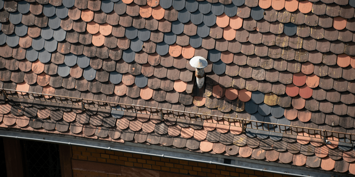 Roof Maintenance Tips for a Stronger, Longer-Lasting Home