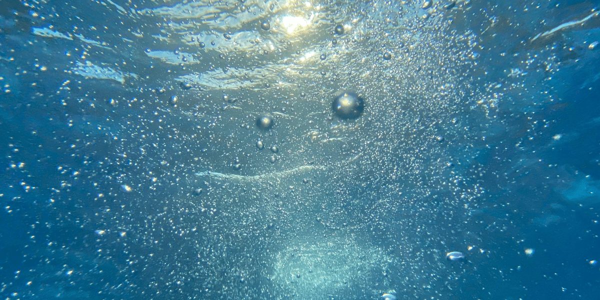 Maximizing Efficiency: Tips For Water Treatment System Maintenance
