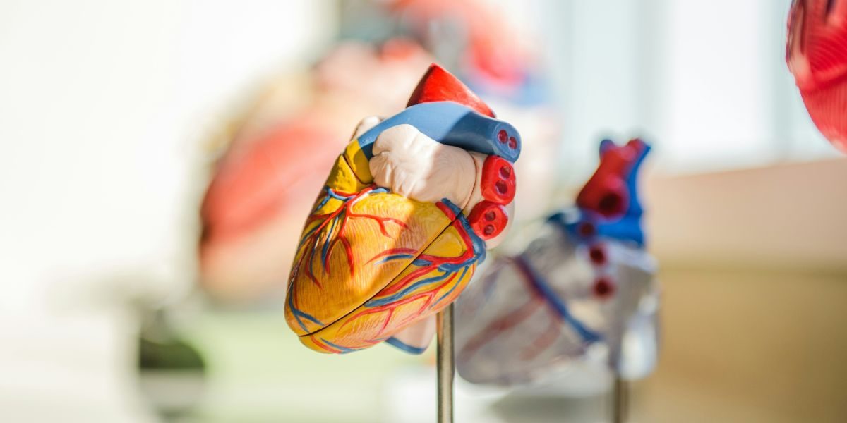 Reasons to Document Medical History for Future Health Needs