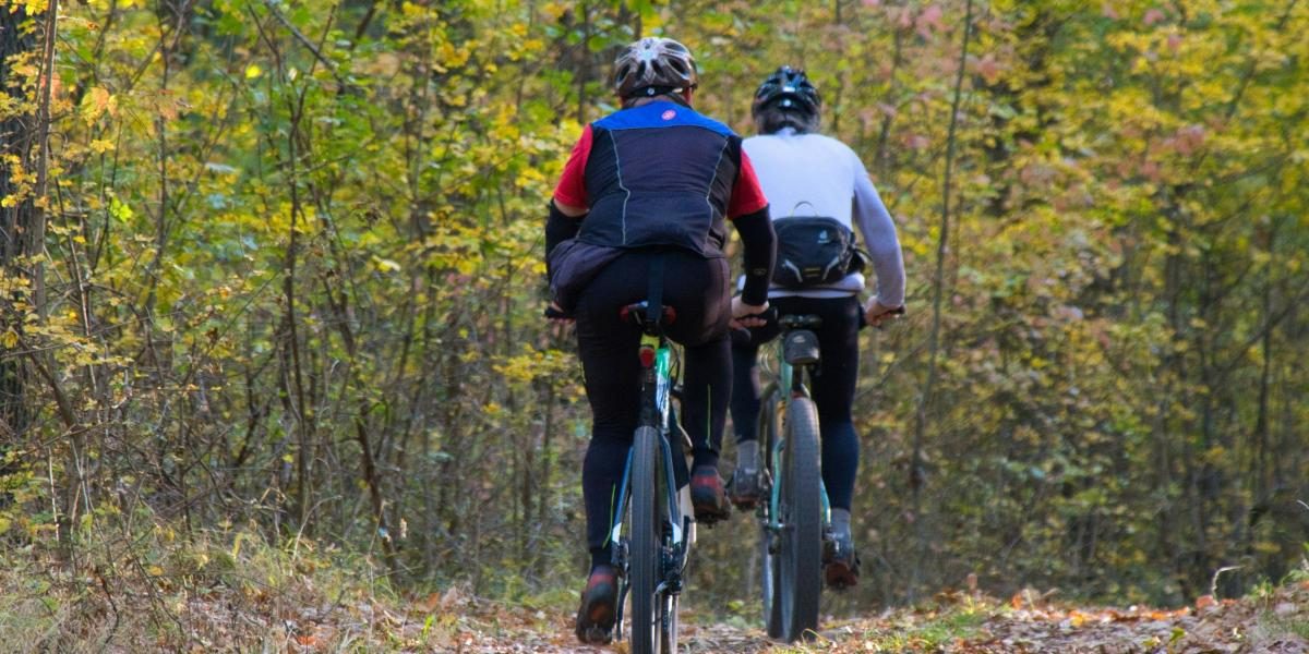 Why the Vertical Bike Rack Is Becoming the Go-To for American Outdoor Families