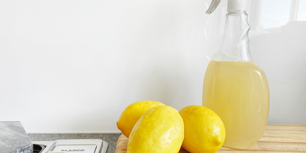Spring Into Action: Comprehensive Cleaning Tips to Refresh Your Home and Mind