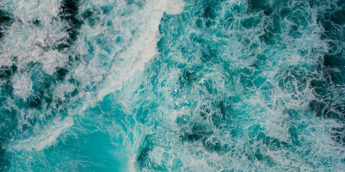 Why Protecting Our Oceans Matters for Future Generations