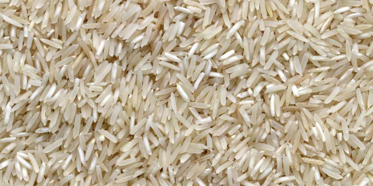 One Appliance, Infinite Meals: Why a High-Quality Rice Cooker is a Kitchen Essential