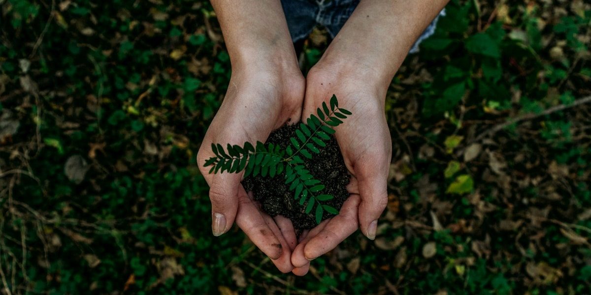 Unlocking the Secrets of Sustainable Wealth with Peter Fusaro, a Veteran in Climate Change Strategy