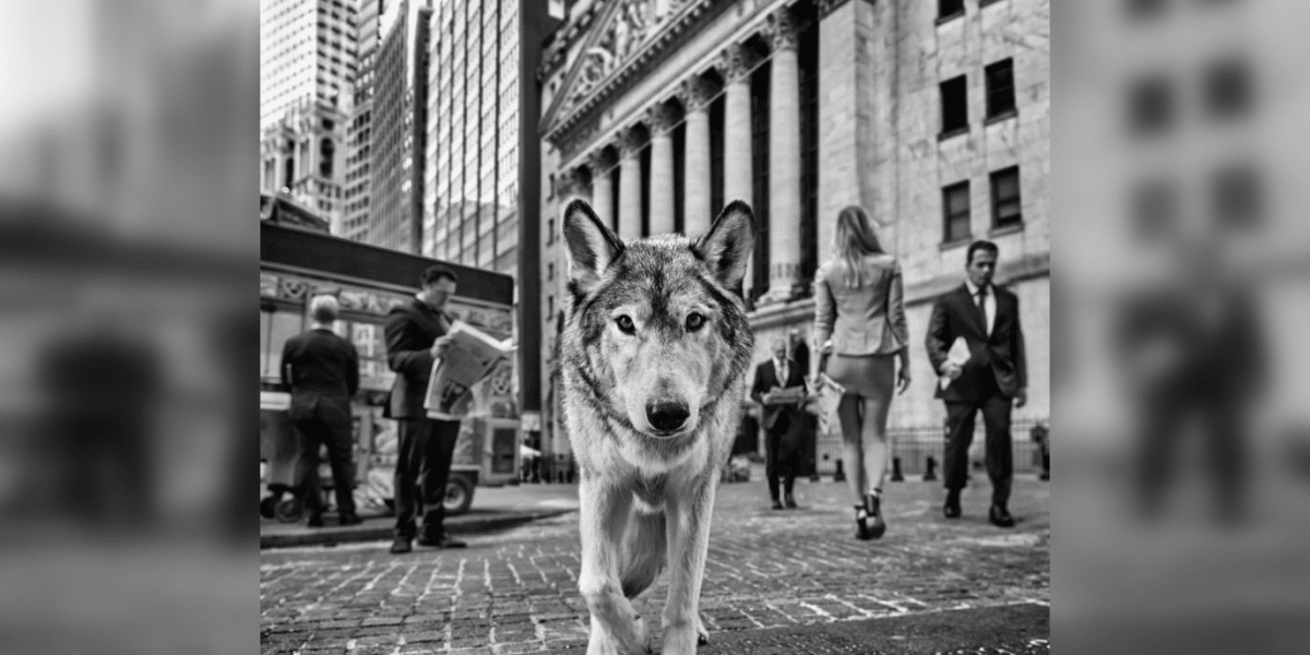 David Yarrow and Shanan Campbell