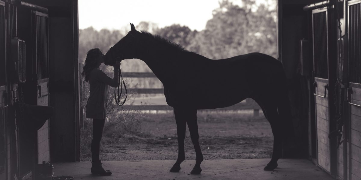 Philanthropist Ann Lesley Smith, Her Purebred Arabian Horse, and the Legacy of Famous Arabian Horses in America