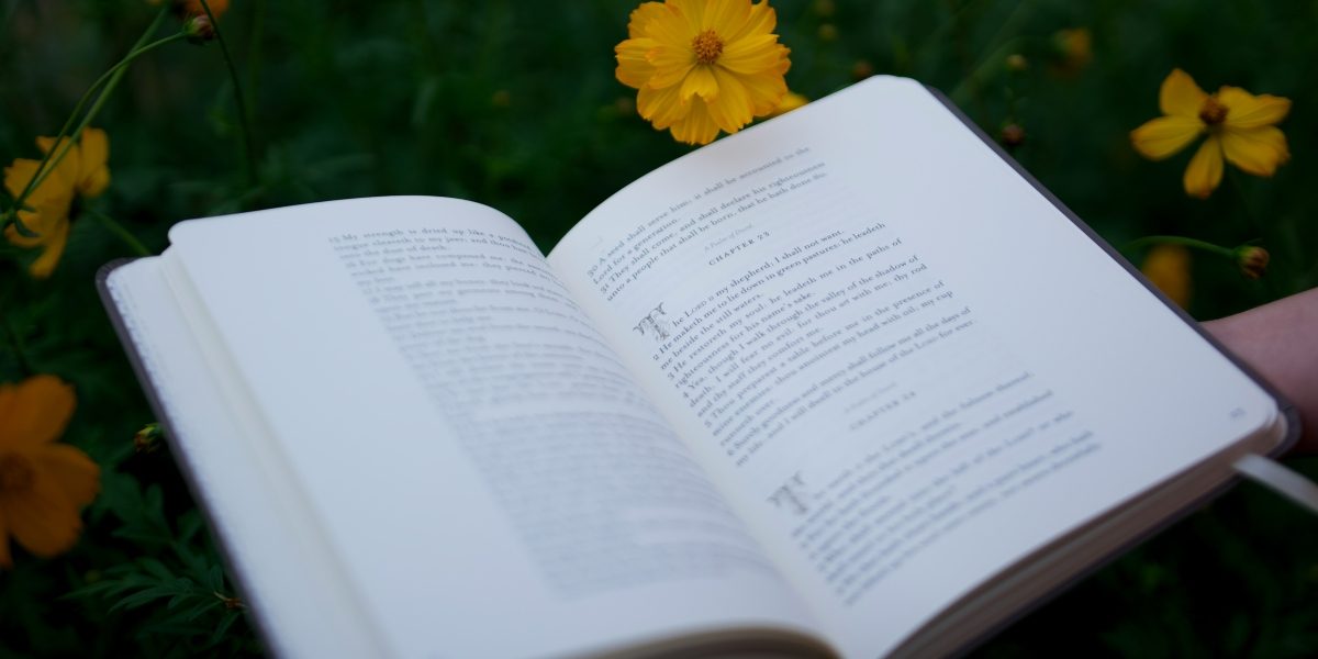 The Grief We're Not Supposed to Name in Fred Jandt's A Hard Farewell