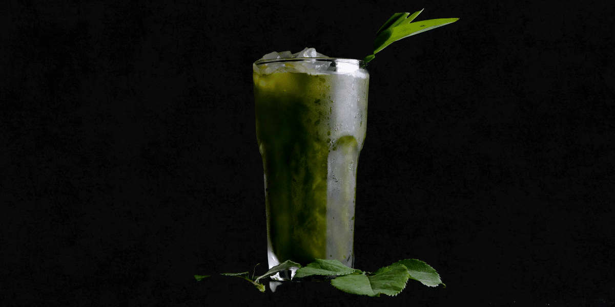 Proper Use of Meal Replacement Shakes- How to Maximise Weight Loss Result