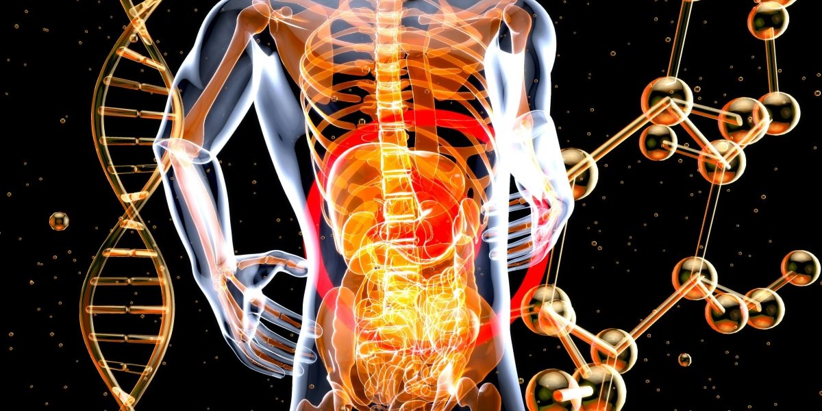 What to Do When Gut Health May Be Driving Ongoing Women’s Health Symptoms