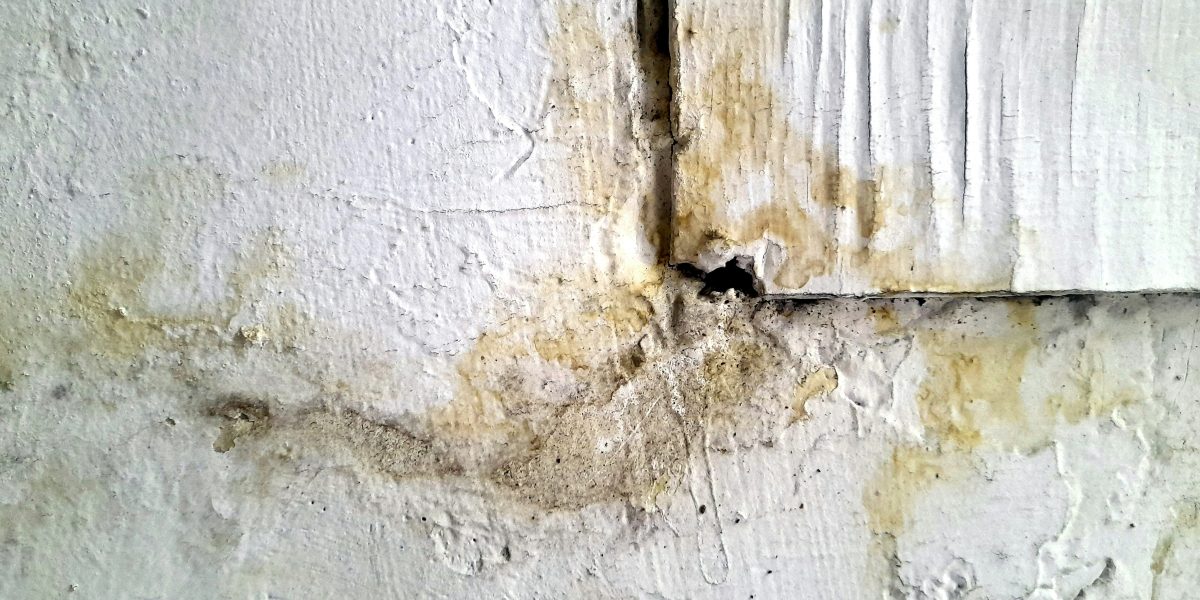 Why Brooklyn Water Damage Restoration Needs Faster Response in Multifamily Buildings
