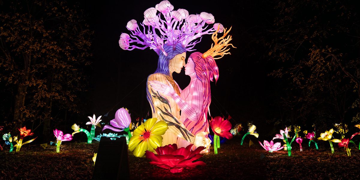Yu Wang Gives Chinese Lantern Art an American Setting